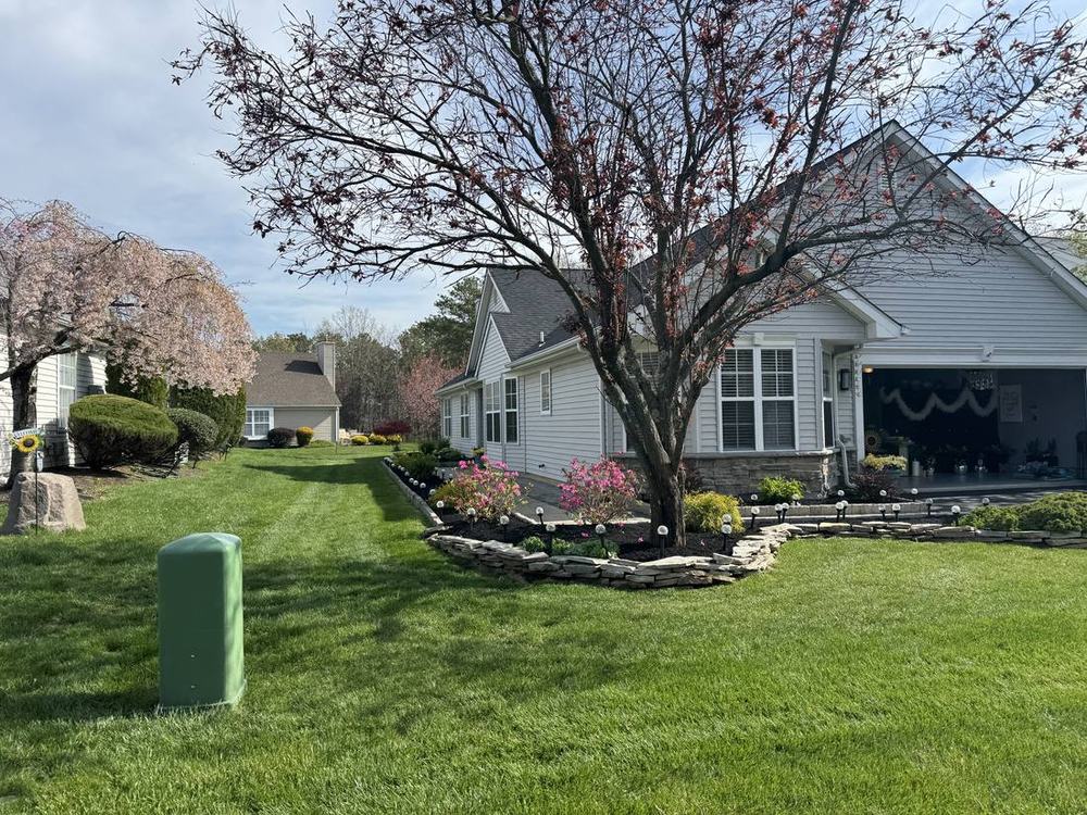 Spring planting and bed design